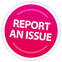 Report and Issue Button
