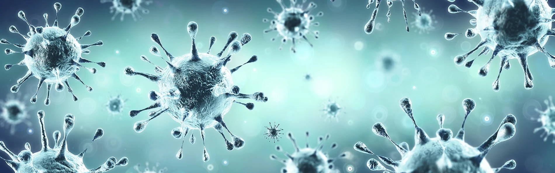 Coronavirus