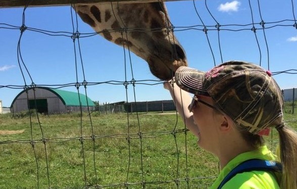 Kid petting giraffe at zoo