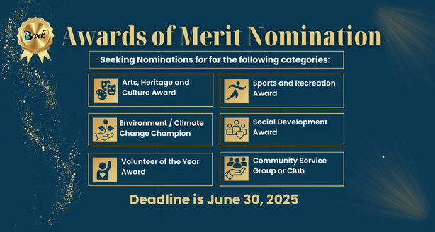 Blue back ground and a list of all the awards of merritt you can vote for