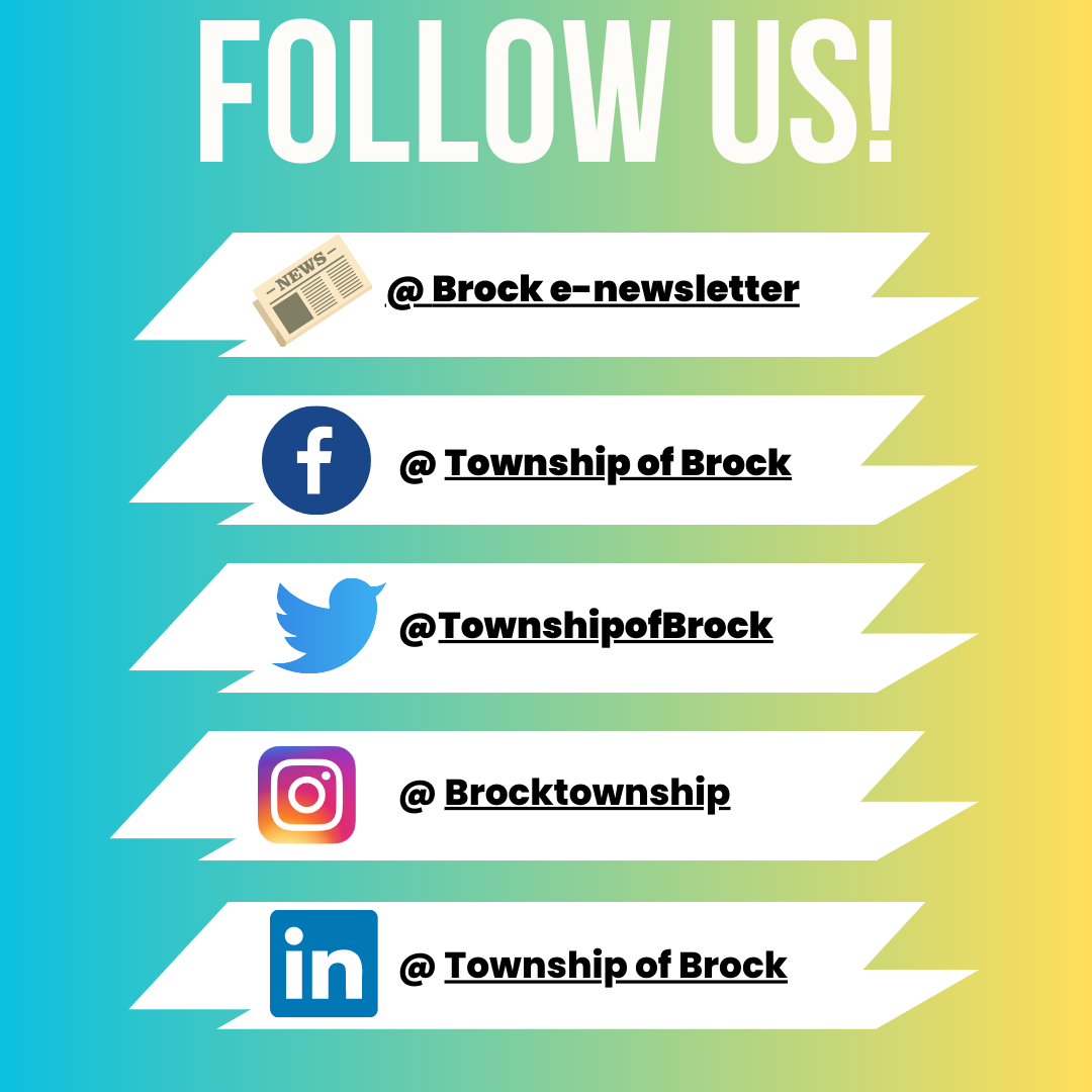 follow us, twitter, facebook, instagram linked in logos
