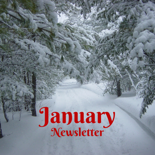 snow covered forest with sun setting through trees, txt reads January newsletter