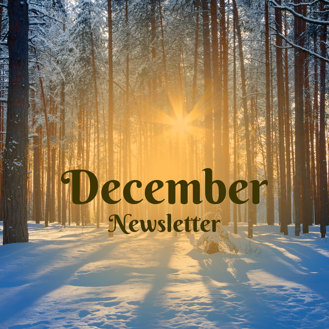 snow covered forest with sun setting through trees, txt reads December newsletter
