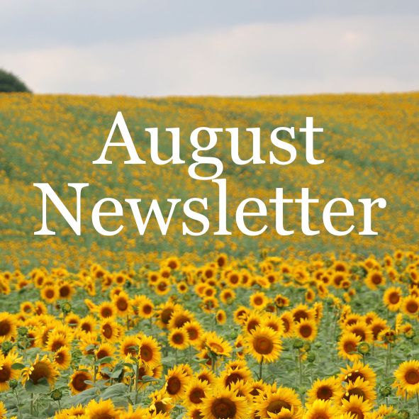 sunflower field with the words august newsletter
