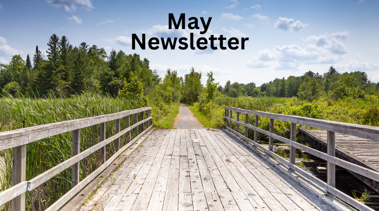 sunny blue shy with a wood trail bridge text reads may newsletter