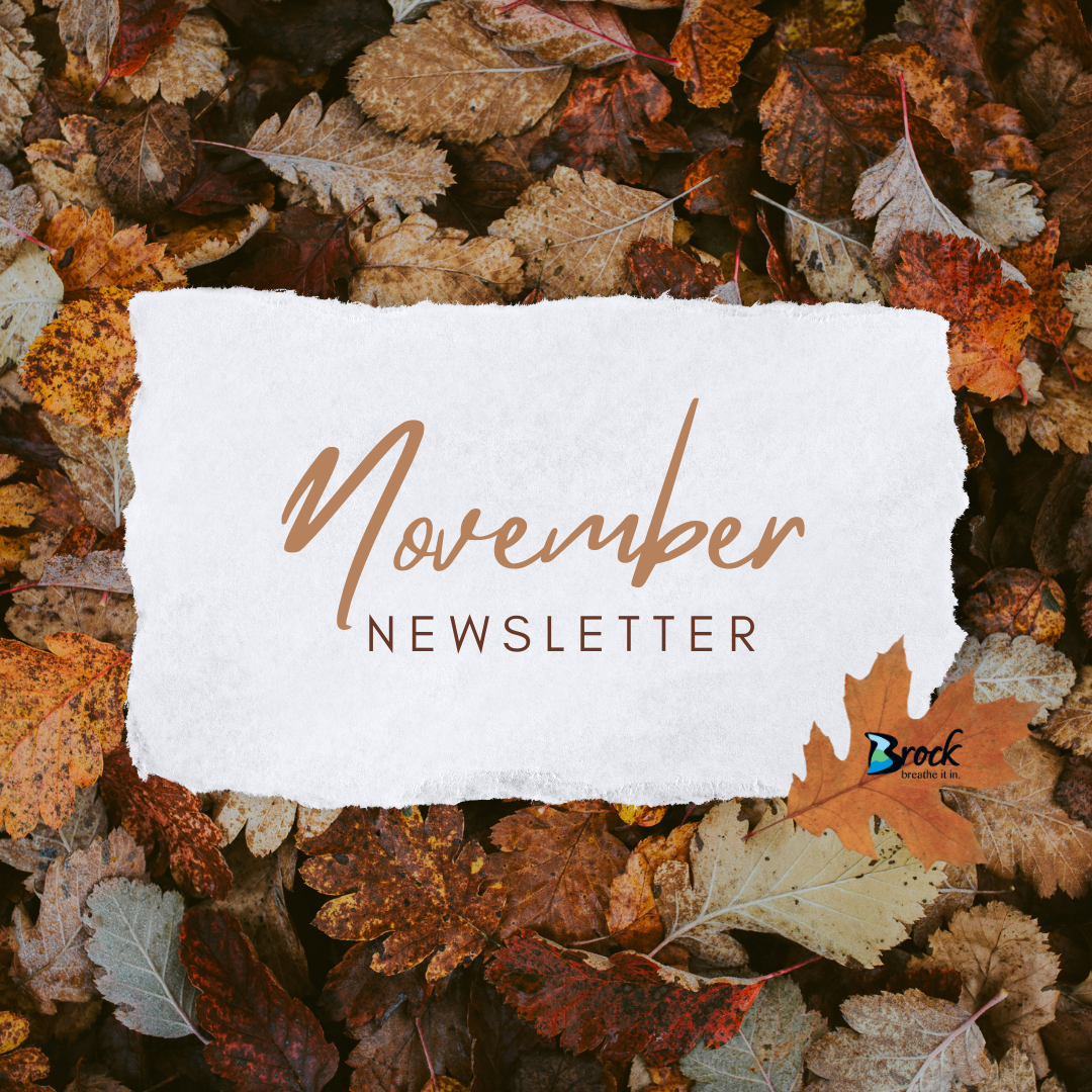 Fallen leaves and a sign that says November newsletter
