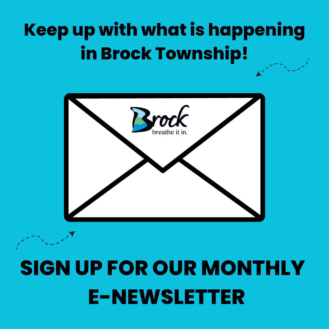 Newsletter envelope
