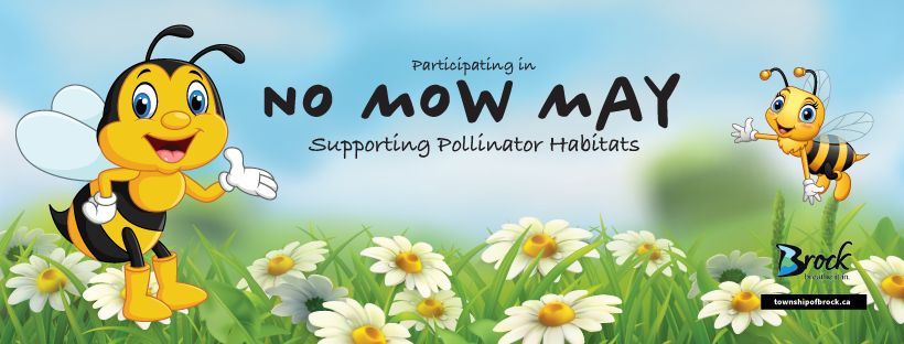 No Mow May Event Details