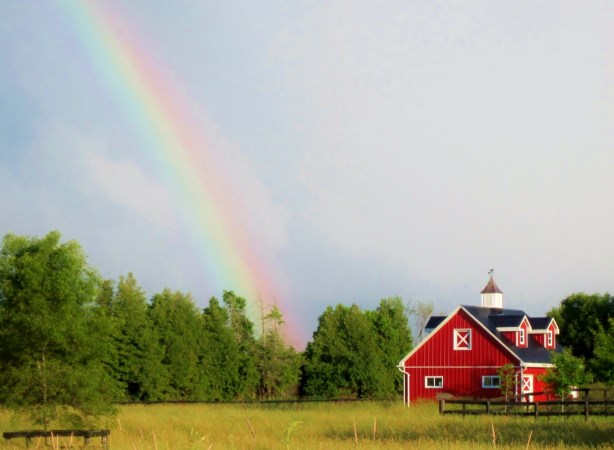 Picture of red barn, field and rainbow