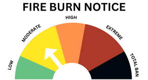 Half pie chart that shows a Moderate fire burn risk