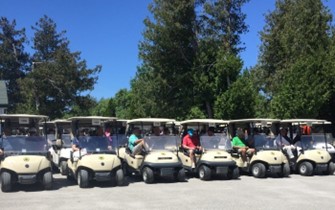 Picture of Golf carts
