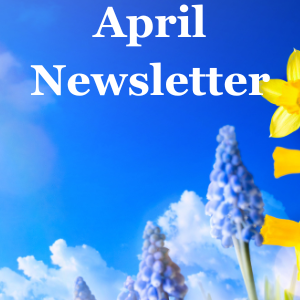 blue sky with daffodils